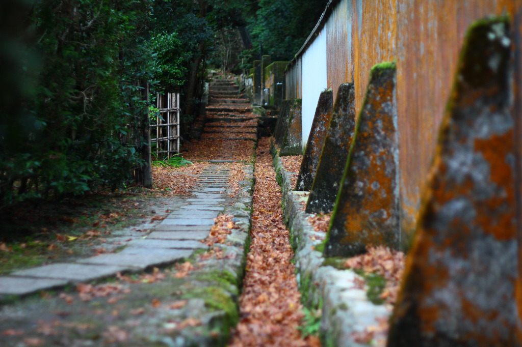 秘密の抜け道
