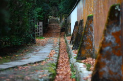 秘密の抜け道