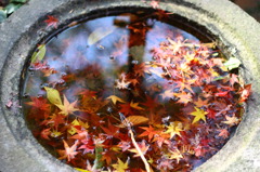 紅葉水鏡