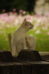 昼下がり