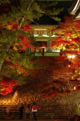 神護寺ライトアップ