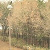 人休み・猫休み・カラス休み