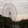 家族愛