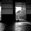 さぁ今日はなにして遊ぼう