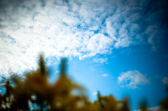 ちょっと携帯意識して･･･