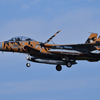 F-15  Aggressor　.2