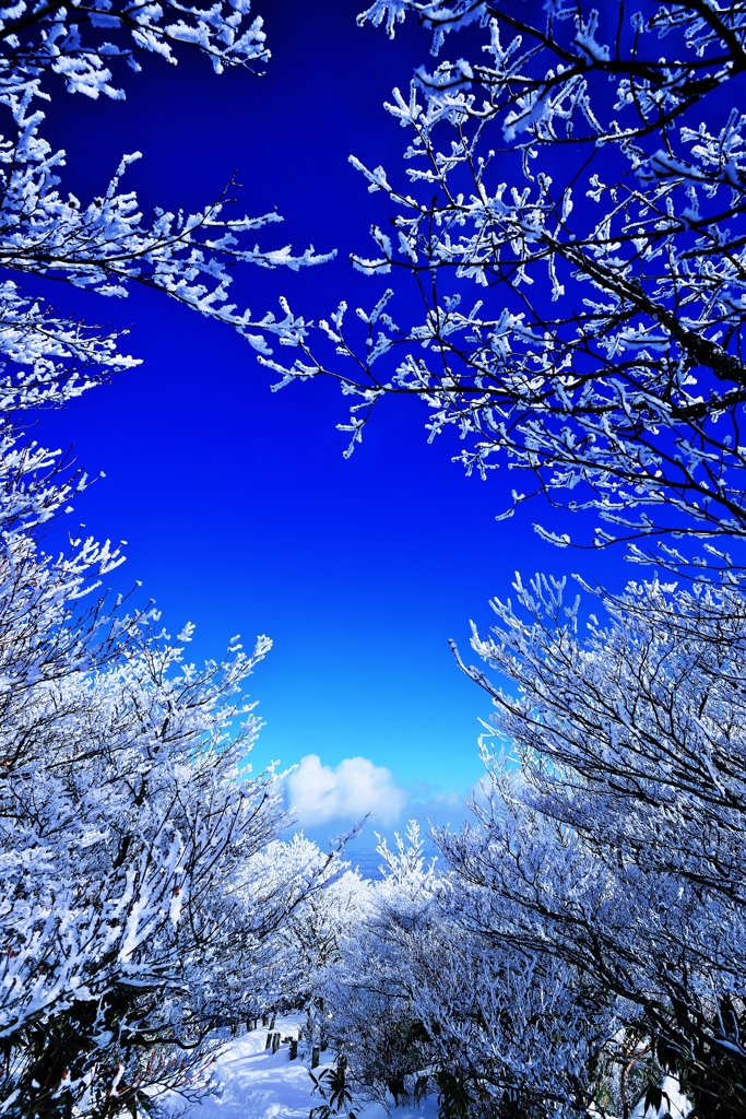  sky　blue.