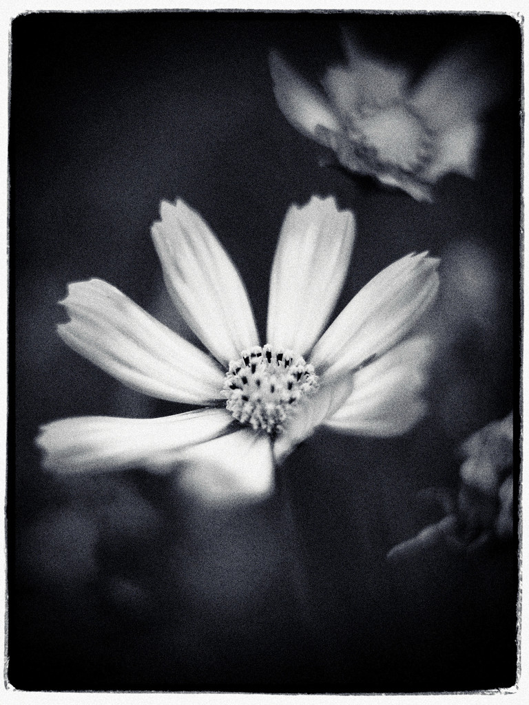 Autumn begins. 1