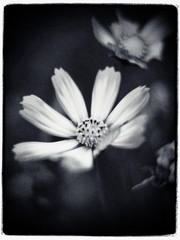 Autumn begins. 1