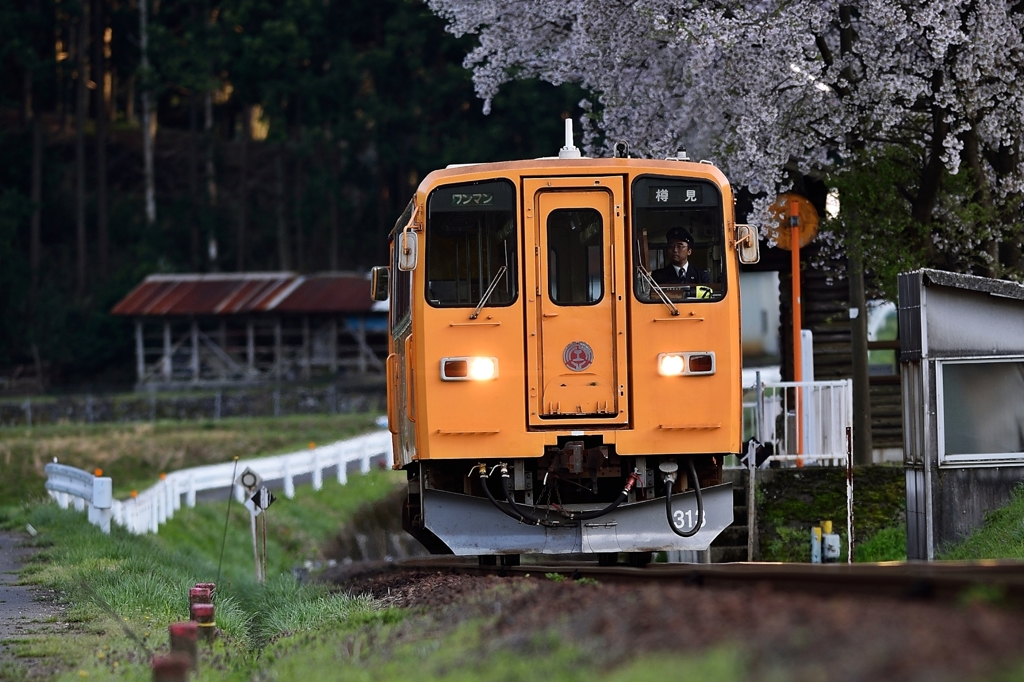 　樽見への想い.2