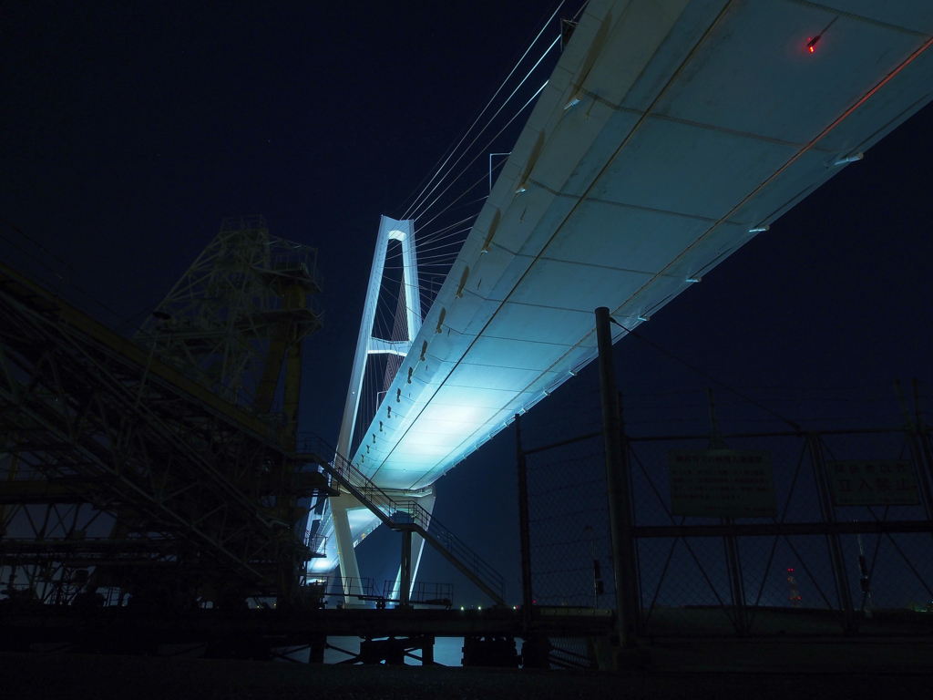 night Triton.1