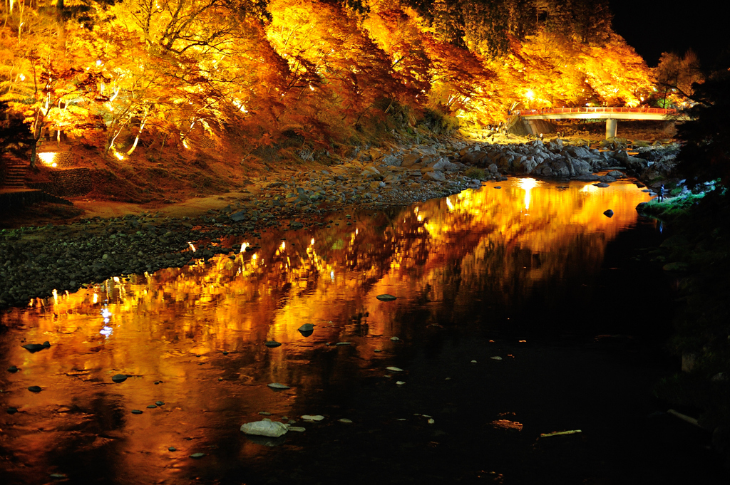 forest fire～山火事