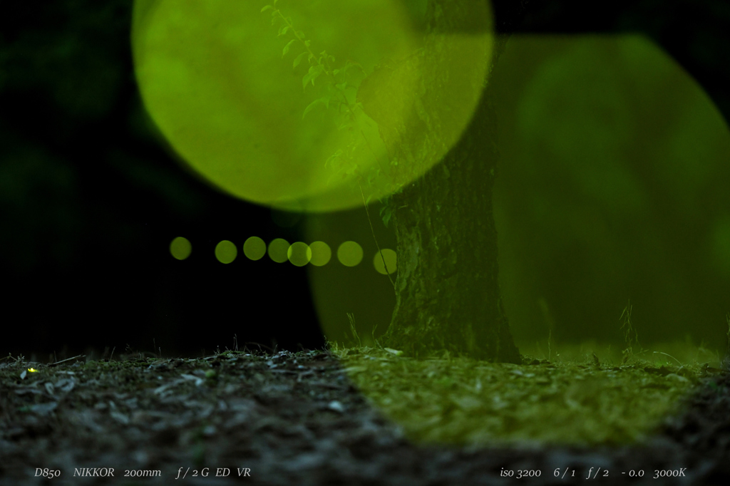  Nightvision .