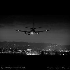 Blackbird.3