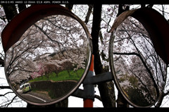 究極の超広角レンズ