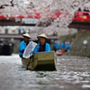 桜 水 都 .3
