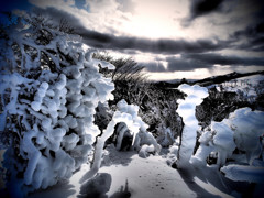 厳氷世界