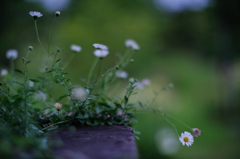 素朴がいい時がある