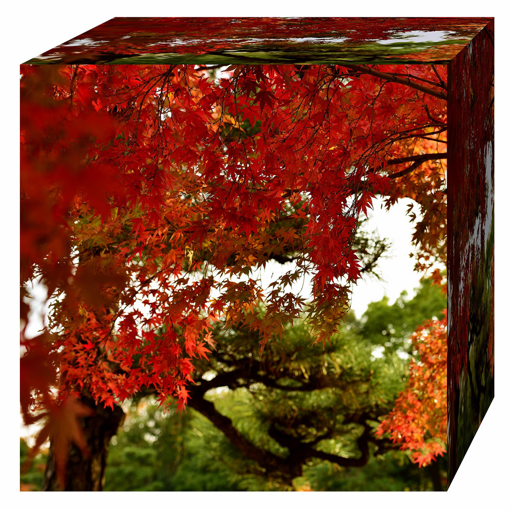 Autumn cube.3