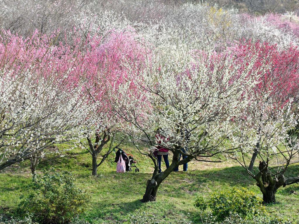 幸せをかみ締めてる瞬間