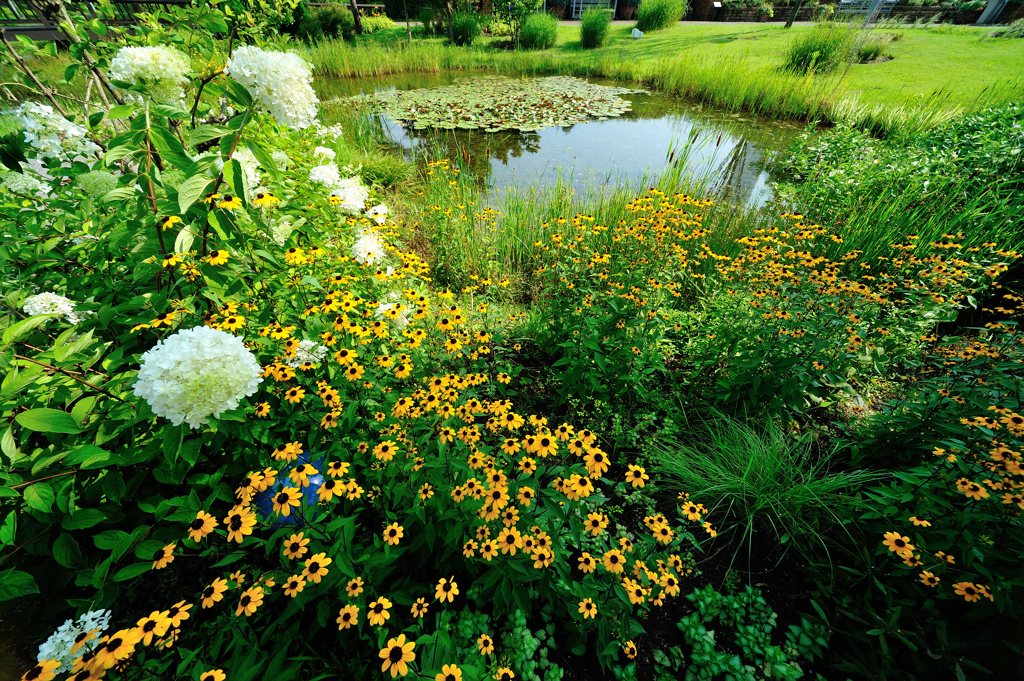 relaxation　Garden　Ｆ