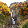 "autumn collection"　称名滝2