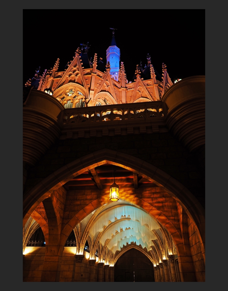 Tokyo Disneyland.1