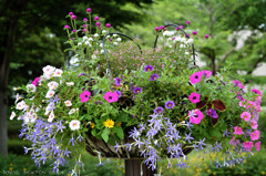 early summer bouquet.D7100