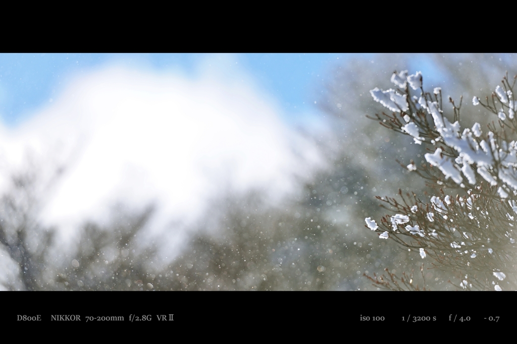 powder.2