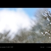 powder.2