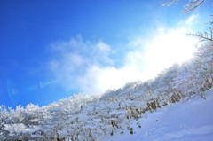 Winter Wonderland .2