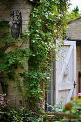 un jardin des fleurs.3