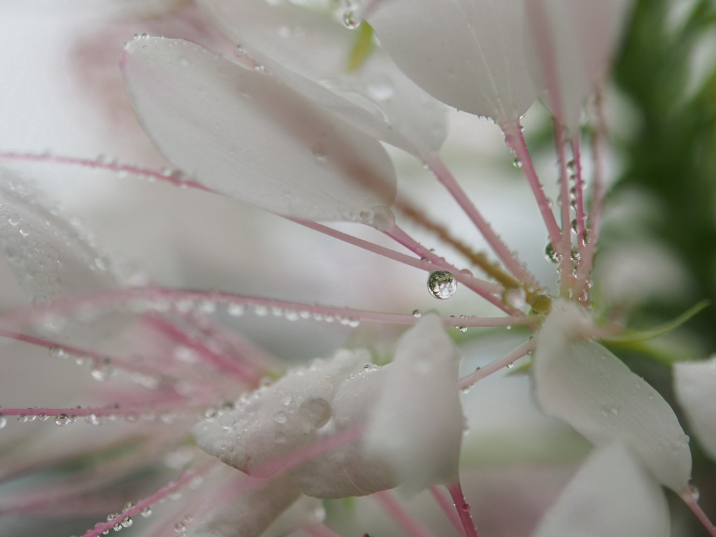waterdrop.3
