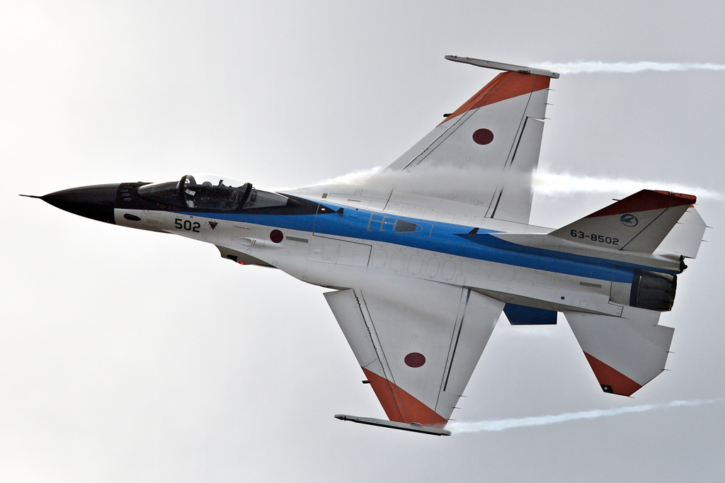 　岐阜基地航空祭　.