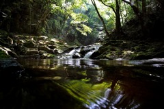 森の天然水.3