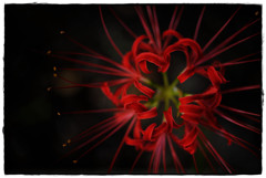 fire-wheel