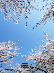 　と っ て も 一 日 で し た　.