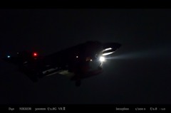 Moonless night bird .3