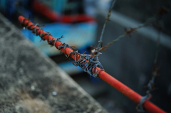 Barbed wire 1