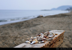 stock photo ver7