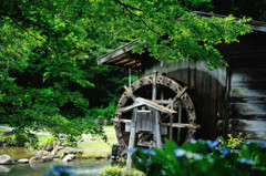 緑から赤へ信号のように