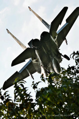 祝！Eagles.3