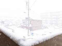 ■伝言板：名古屋市内も雪景色