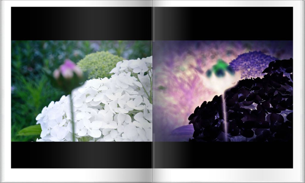 妙に普通作～②