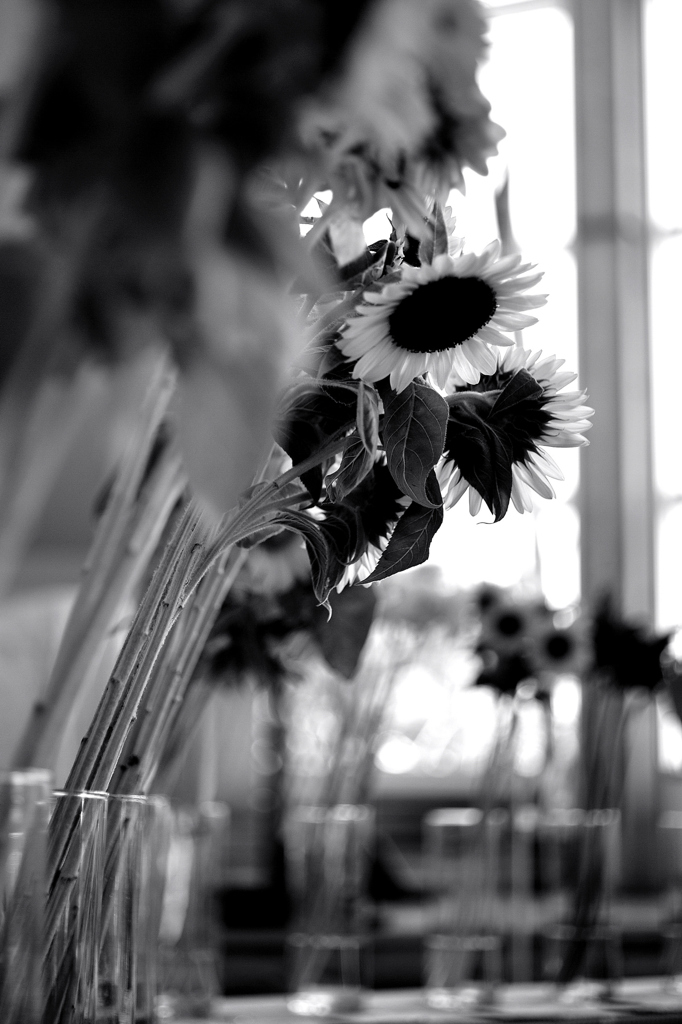 The flower for decorating Ａ