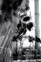 The flower for decorating Ａ