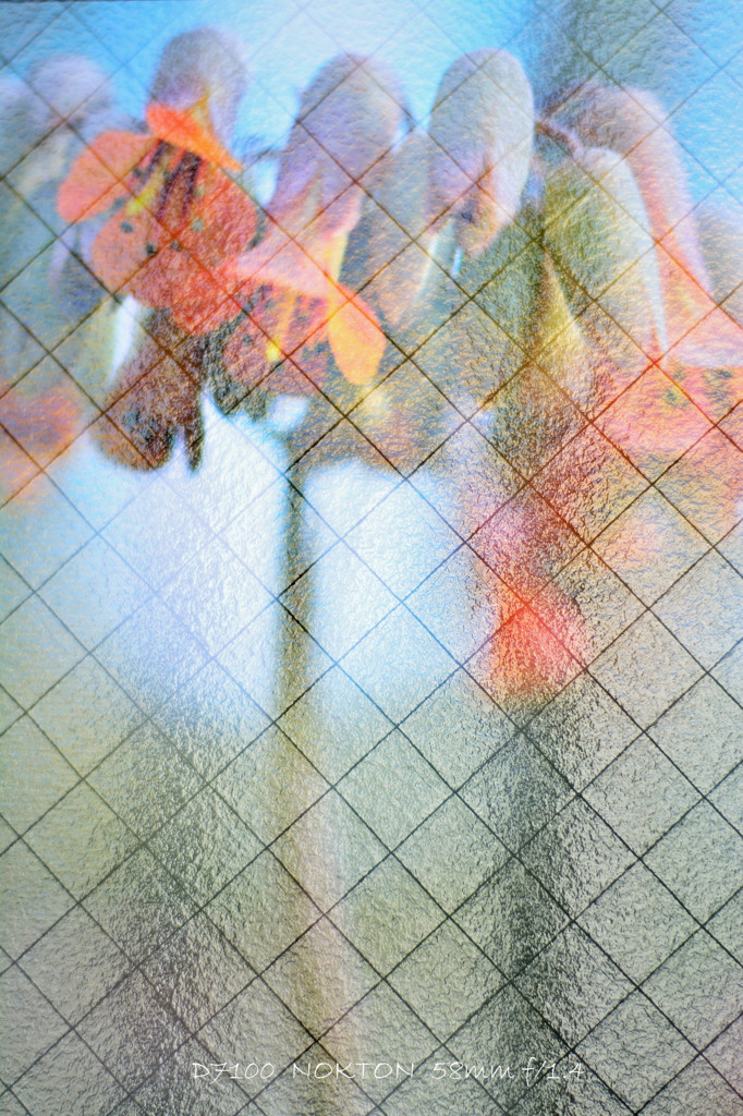 low humidity ･･･