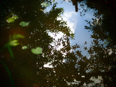 Water cloud.1