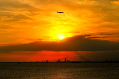  TOKYO BAY  .