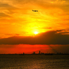  TOKYO BAY  .